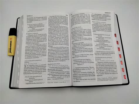 Biblia de estudio NVI con índice Spanish Edition PDF