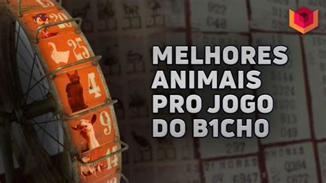 Bicho Bet: O Guia Definitivo para Ganhar na Loteria dos Animais