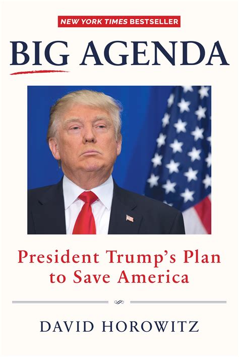 Big Agenda President TrumpÂ’s Plan to Save America PDF