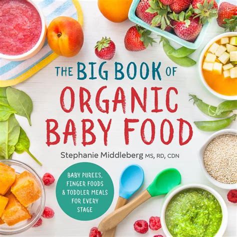 Big Book Organic Baby Food Kindle Editon