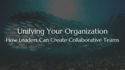 Big Teams Login: Unifying Your Team's Collaboration