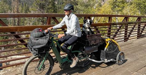 Biking with Your Best Friend: The Ultimate Guide to Bikes with Dog Baskets