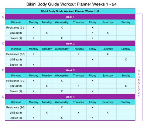 Bikini Body Guide: Free Week of Workouts - Squarespace Ebook Ebook PDF