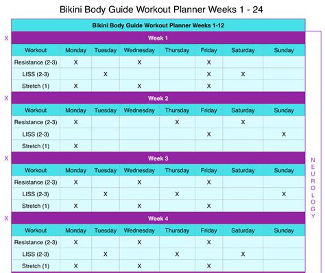 Bikini Body Guide: Free Week of Workouts - Squarespace Ebook Ebook PDF