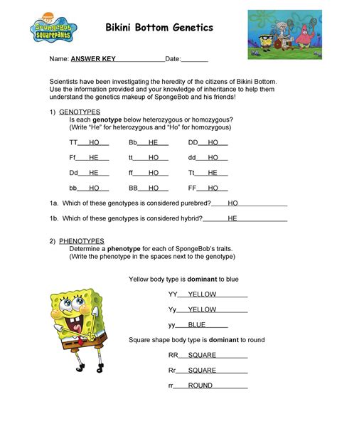 Bikini Bottom Genetics 3 Answers Doc