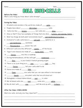 Bill Nye Cells Worksheet Answers Reader