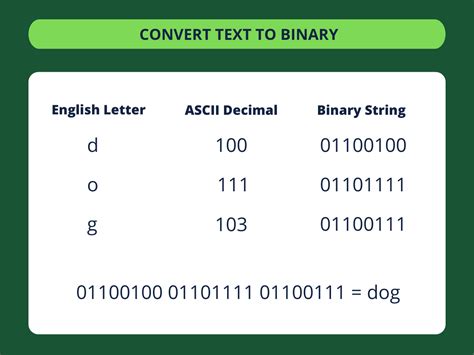 Binary to Word Converter: Transform Digital Data into Human-Readable Text