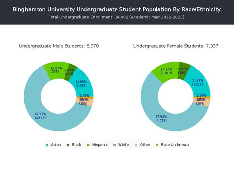 Binghamton University Demographics: A Comprehensive Overview