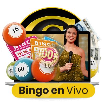 Bingo Net ao Vivo: Um Guia Completo