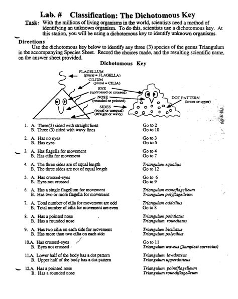 Bio 10 Lab Dichotomous Keys Answers PDF