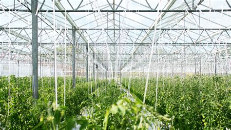 Bio Fertilizer Manufacturers: 10 Companies Shaping the Future of Sustainable Farming