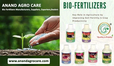 Bio Fertilizer Manufacturers: 5 of the World's Leading Companies