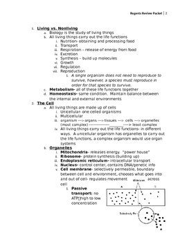 Bio Regents 2013 Answers Doc