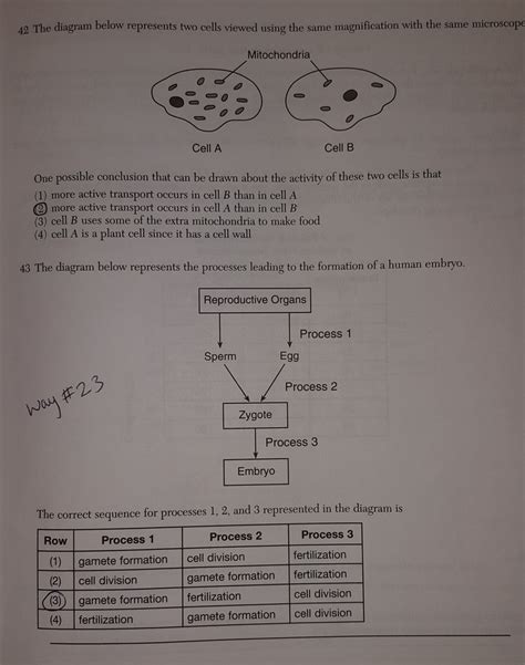 Bio Regents June 2011 Answers Doc