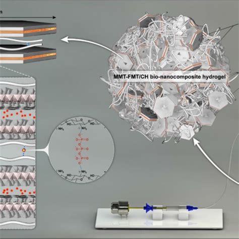 Bio-Nanocomposites: