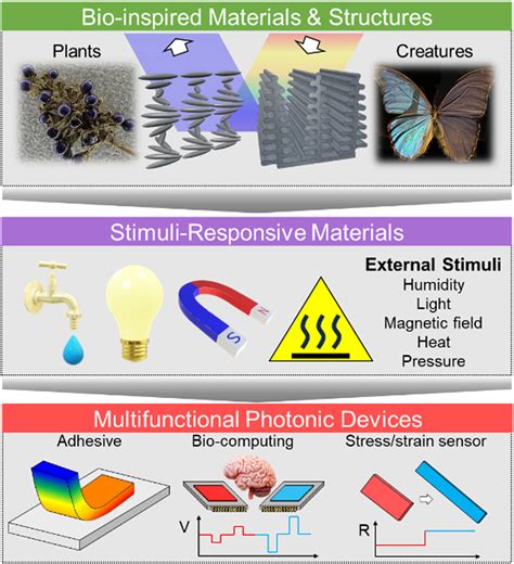 Bio-inspired materials: