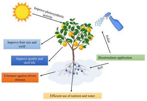 Bio-stimulants: