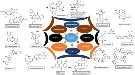 Bioactive Compounds and Cancer Reader