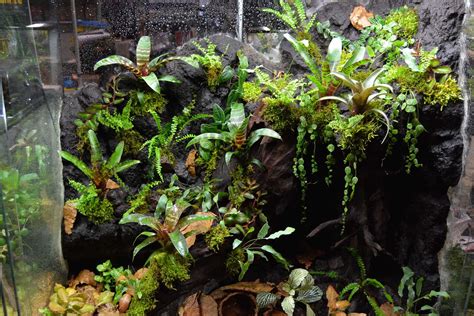 Bioactive Terrarium Microorganisms: Unveiling the Marvels of 2025