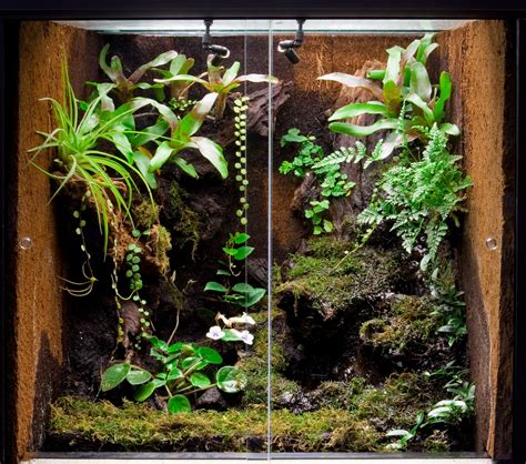 Bioactive terrarium designs