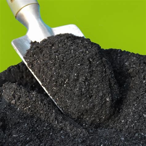 Biochar: