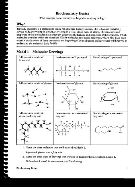 Biochemistry basics pogil answer key Ebook Epub