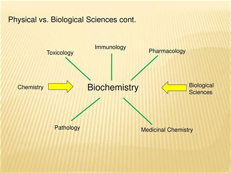 Biochemistry vs. Biological Sciences: A Comparative Analysis