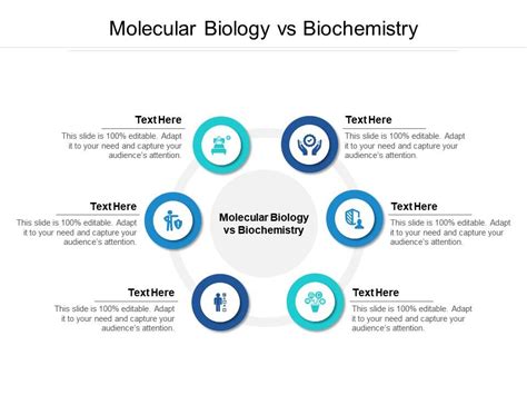 Biochemistry vs. Molecular Biology: Dissecting the Nuances in Life Science