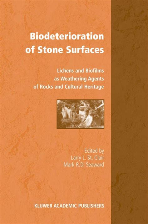 Biodeterioration of Stone Surfaces 1st Edition PDF