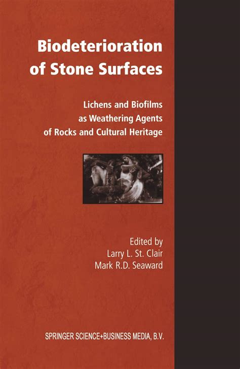 Biodeterioration of Stone Surfaces 1st Edition PDF