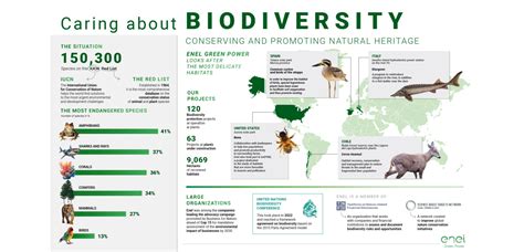 Biodiversity: The Foundation of Life on Earth