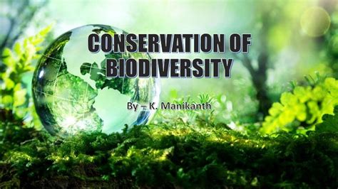 Biodiversity and its Conservation PDF