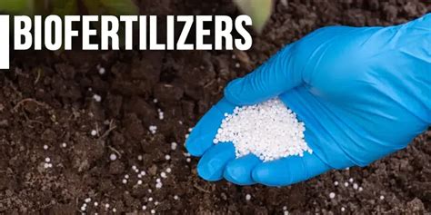 Biofertilizers Reader