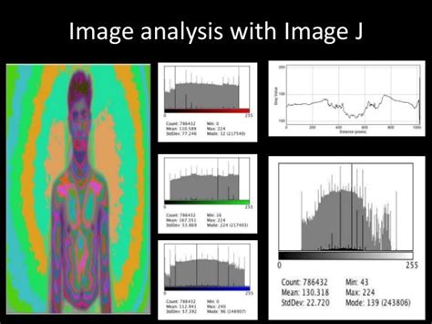 Biofield Interactions: