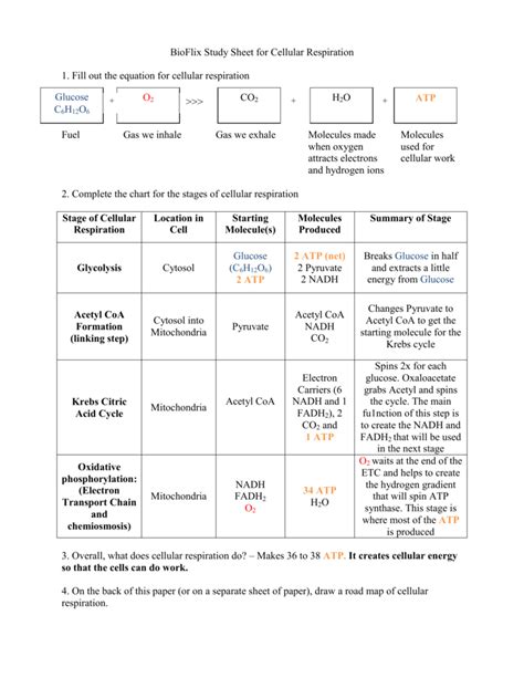 Bioflix Cellular Respiration Answers Doc