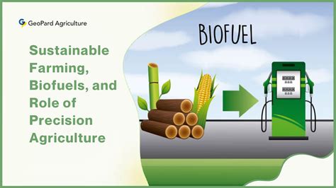 Biofuel: