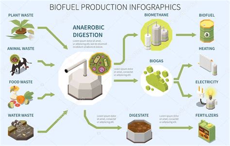 Biofuel Production: