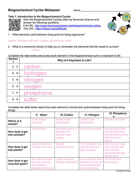 Biogeochemical Cycles Webquest Answer Key Reader