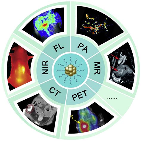 Bioimaging: