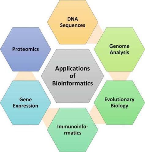 Bioinformatics in Healthcare: