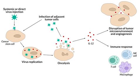 Biologic Therapy of Cancer Doc