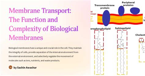 Biological Membranes Theory of Transport Reader