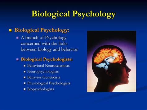 Biological Psychology PDF