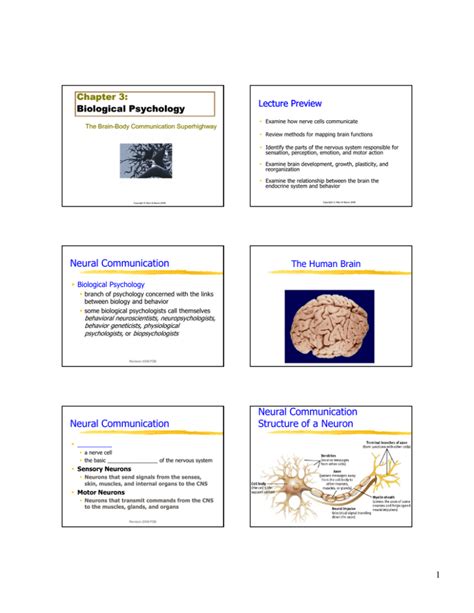 Biological Psychologyand Lecture Notebookand Studyguideand Clinical Neuroscience Reader PDF