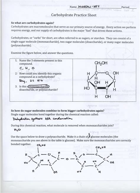 Biological molecules pogil activities key answers Ebook Reader
