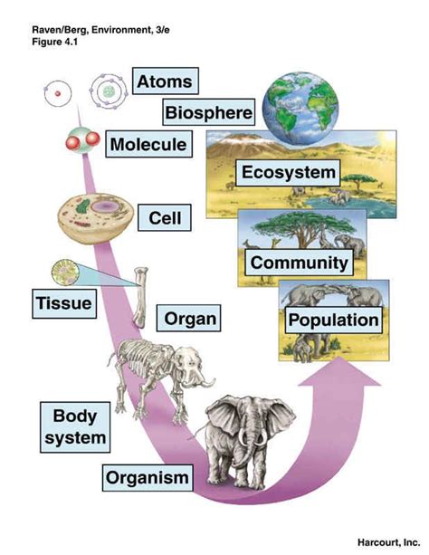 Biology, Part 3 , Biology of Populations Epub