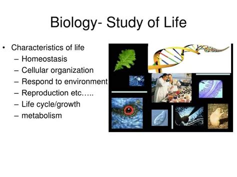 Biology: The Study of Life