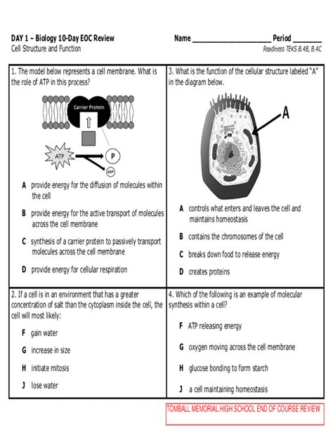 Biology 10 Day Eoc Review Answer Key Kindle Editon