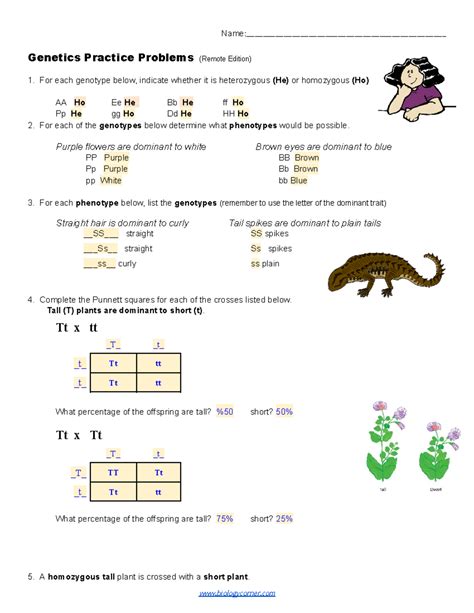 Biology 102 Genetics Practice Problems Answers Doc