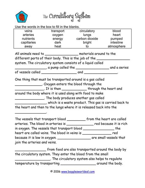 Biology 37 The Circulatory System Answer Key PDF